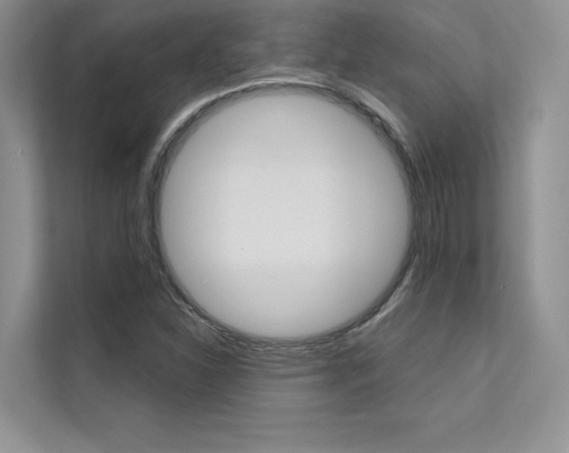 X0000112181310200908070932