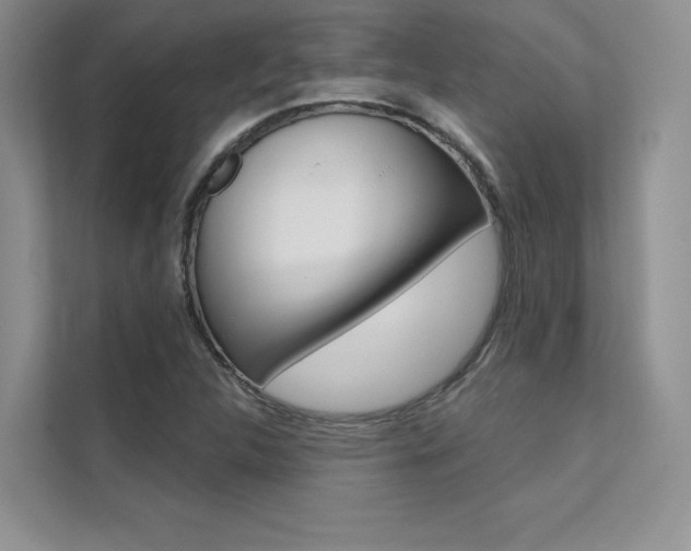 X0000112181312200908070932