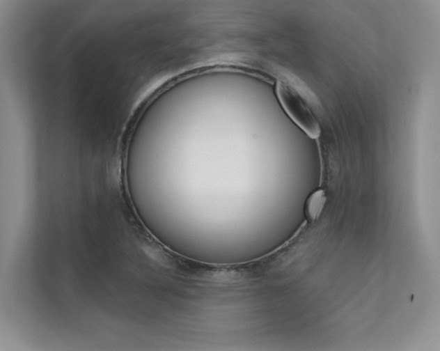 X0000112181316200908070932