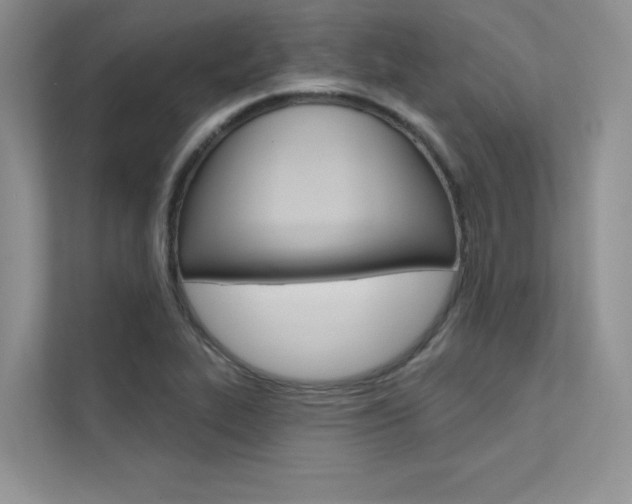 X0000112181319200908070932
