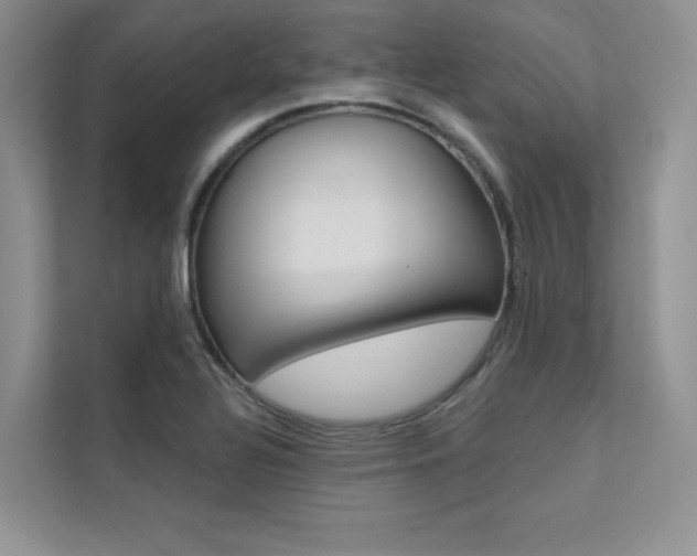 X0000112181320200908070932