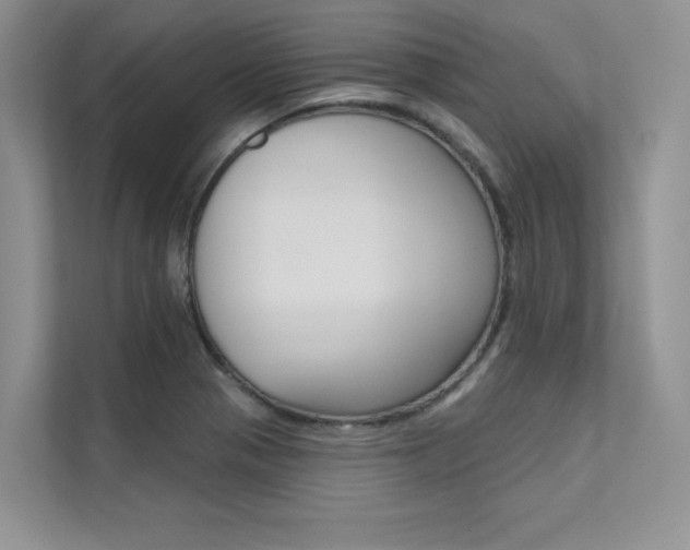 X0000112181321200908070932