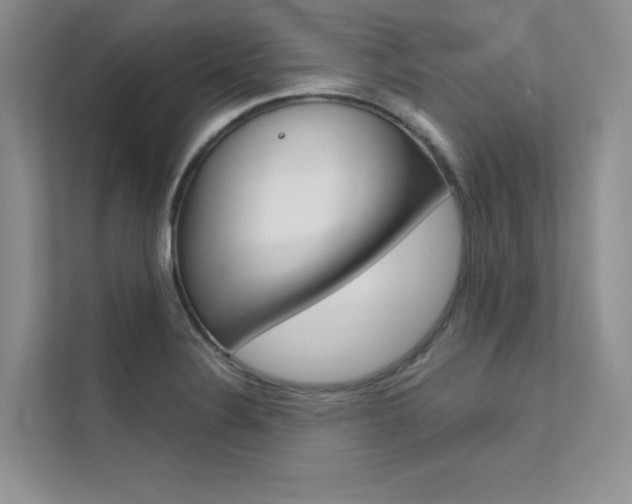 X0000112181324200908070932