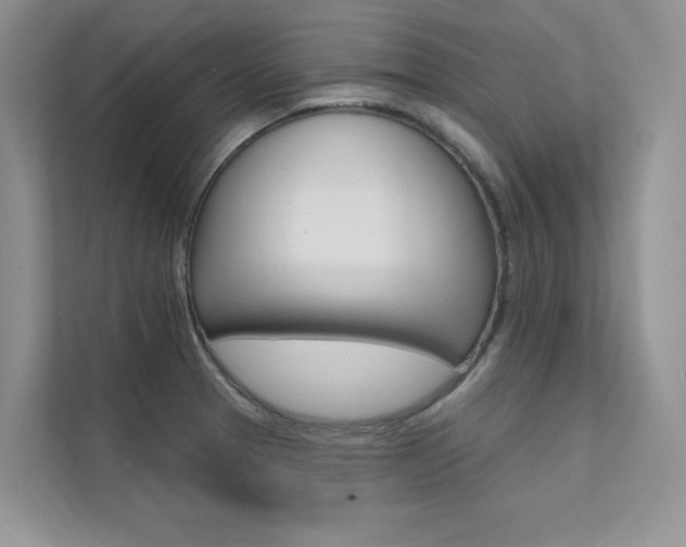 X0000112181329200908070932