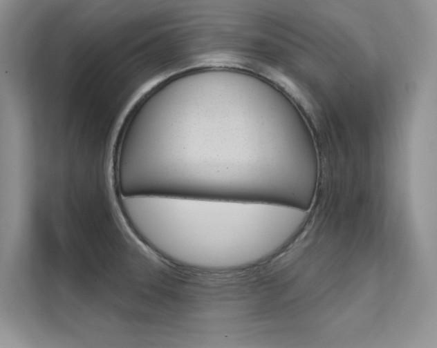X0000112181331200908070932