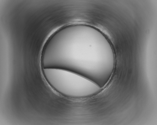 X0000112181333200908070932