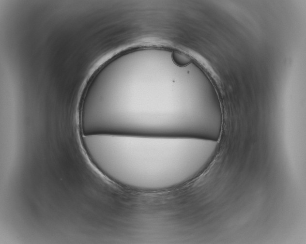 X0000112181335200908070932