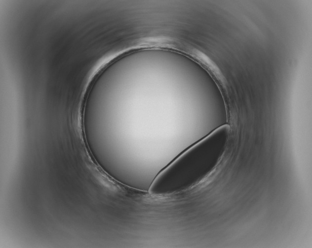 X0000112181336200908070932