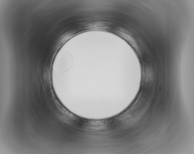 X0000112181338200908070932