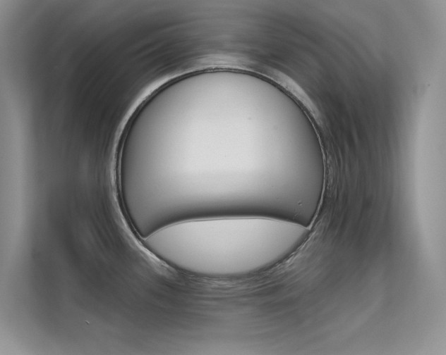 X0000112181339200908070932