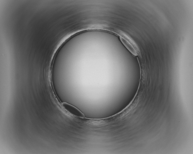 X0000112181340200908070932