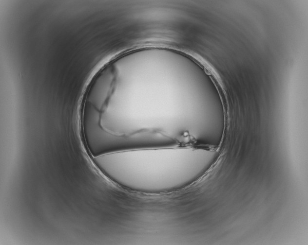 X0000112181341200908070932