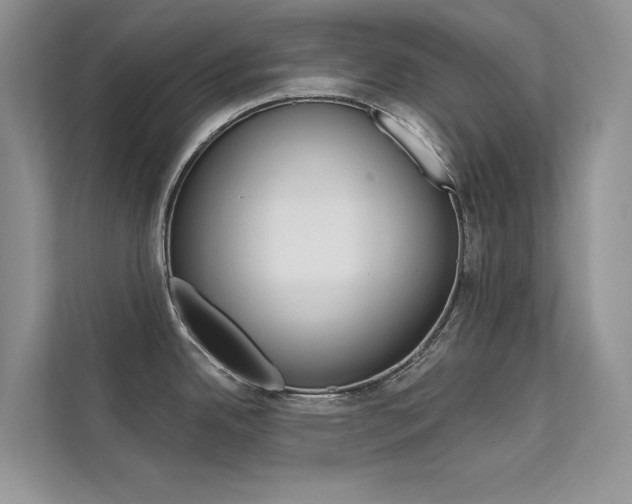 X0000112181342200908070932
