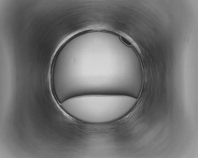 X0000112181343200908070932