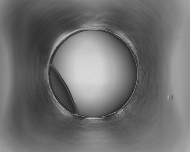 X0000112181344200908070932