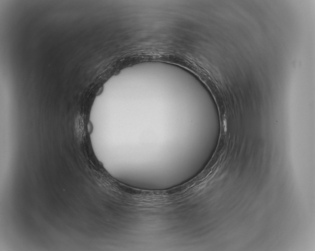 X0000112181347200908070932
