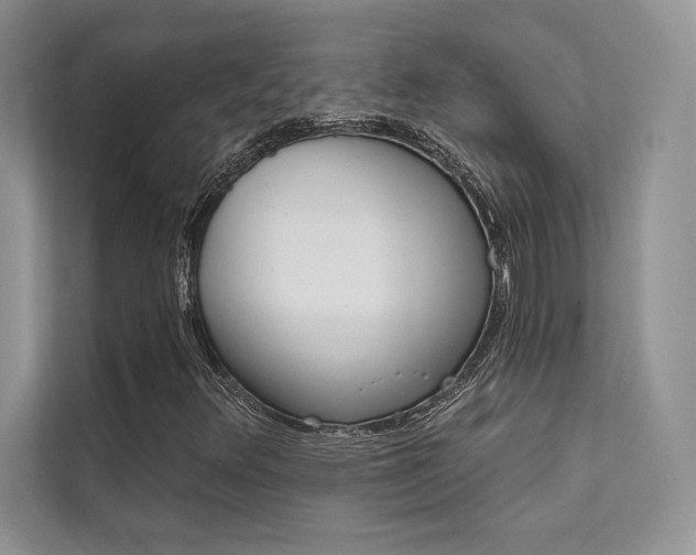 X0000112181348200908070932