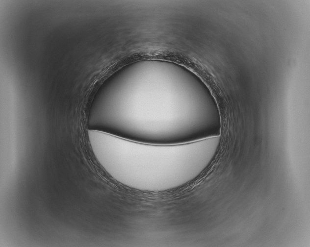 X0000112181349200908070932