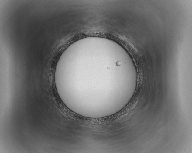 X0000112181350200908070932