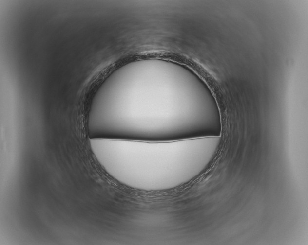 X0000112181351200908070932