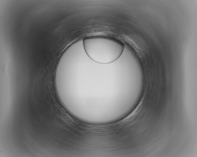 X0000112181353200908070932