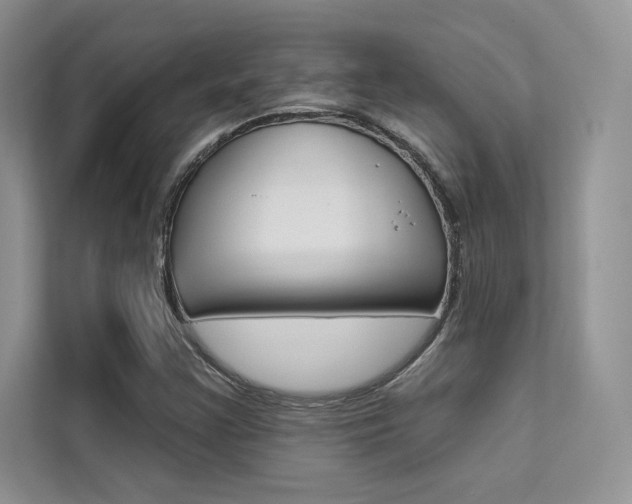 X0000112181355200908070932