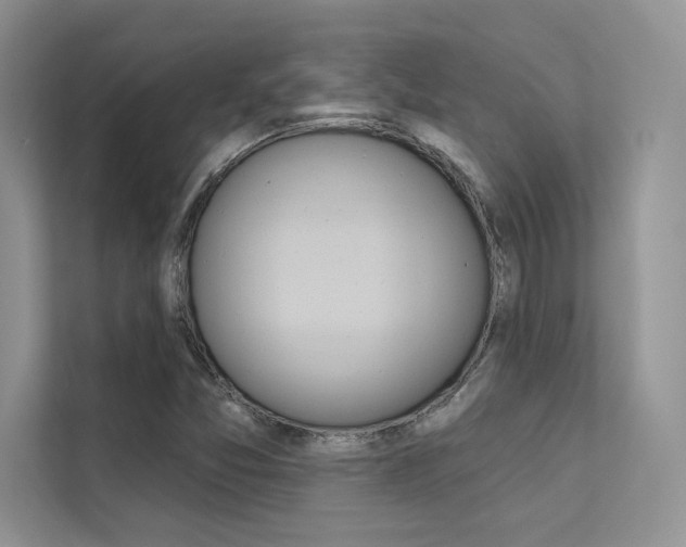 X0000112181357200908070932