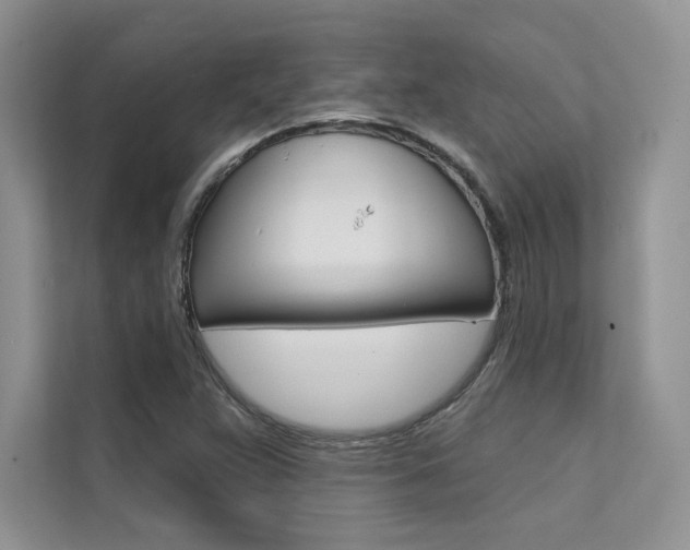 X0000112181359200908070932