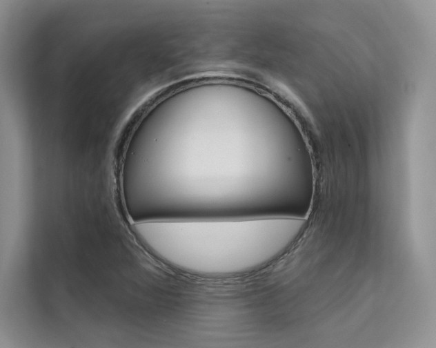 X0000112181360200908070932