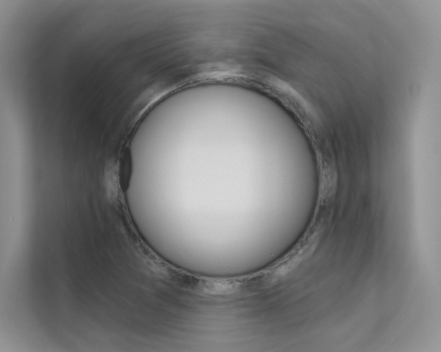 X0000112181361200908070931