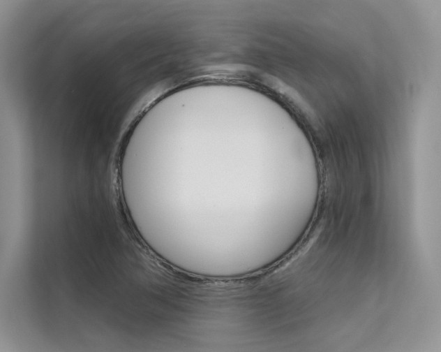 X0000112181362200908070931