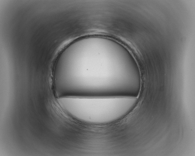 X0000112181363200908070931