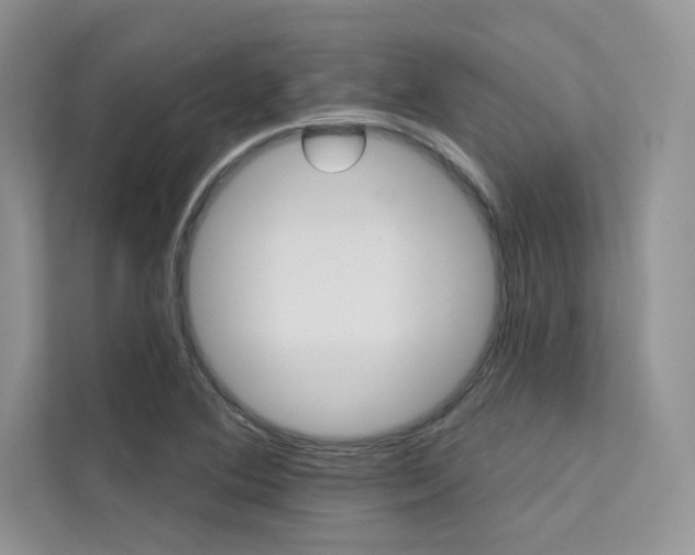 X0000112181364200908070931