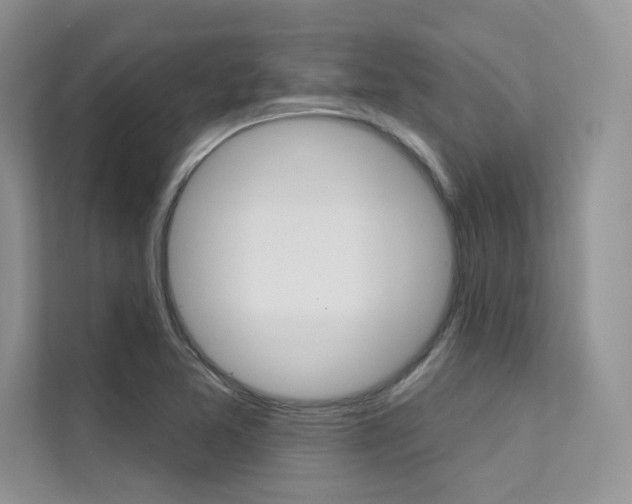 X0000112181365200908070931