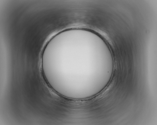 X0000112181366200908070931
