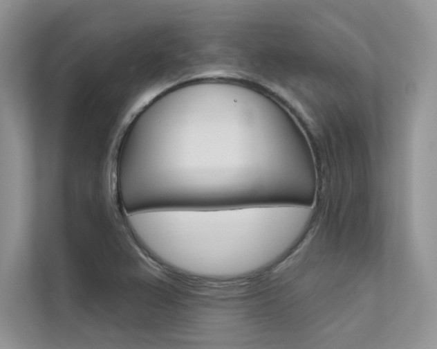 X0000112181367200908070931
