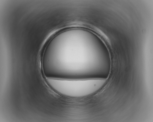 X0000112181368200908070931