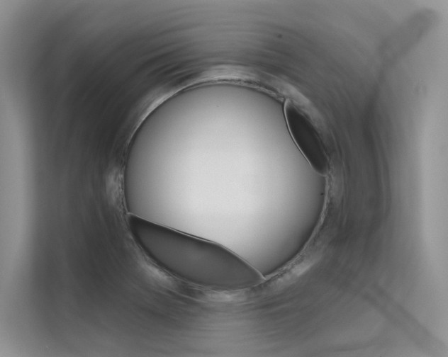 X0000112181369200908070931