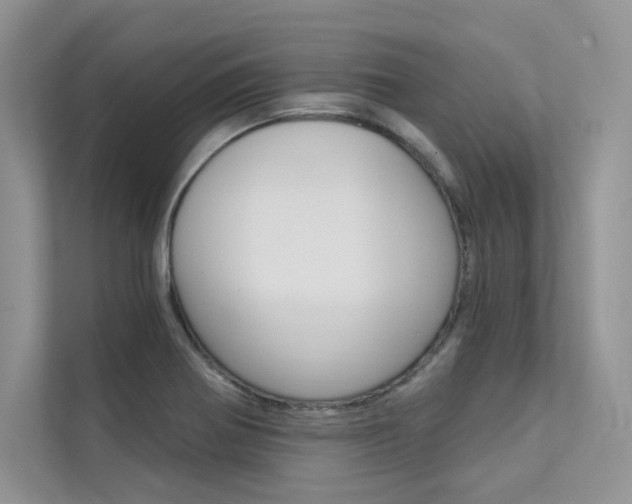 X0000112181370200908070931