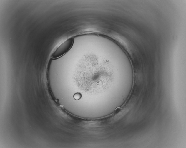 X0000112181373200908070931