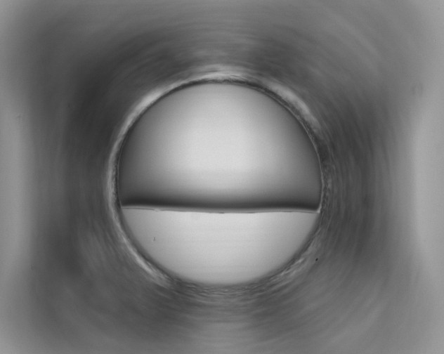 X0000112181375200908070931