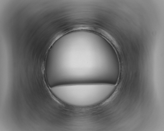 X0000112181377200908070931