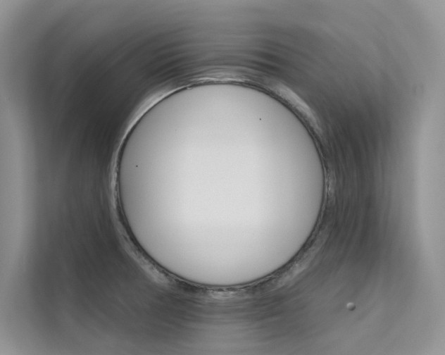 X0000112181378200908070931