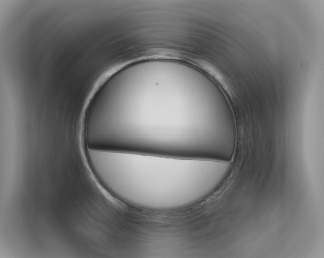 X0000112181379200908070931