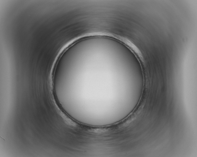 X0000112181380200908070931