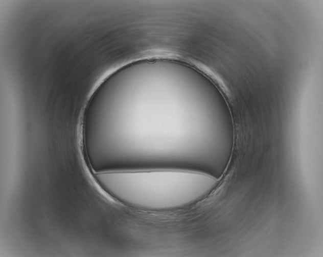 X0000112181383200908070931
