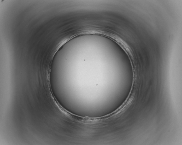 X0000112181385200908070931