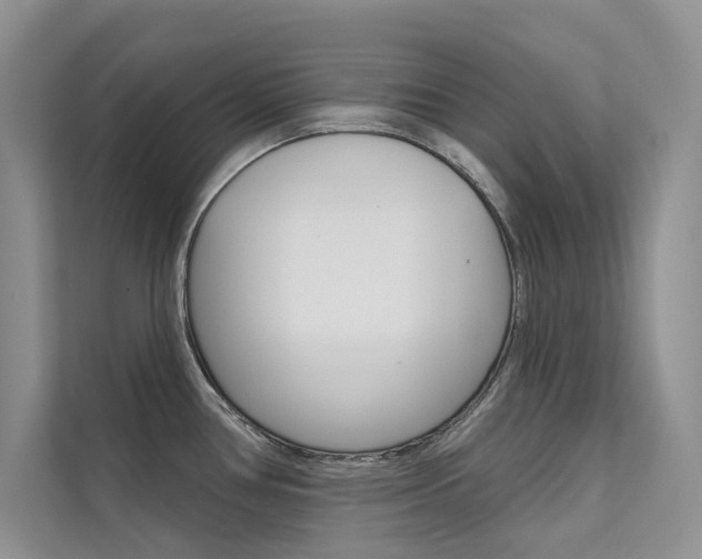 X0000112181386200908070931