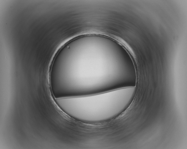 X0000112181388200908070931