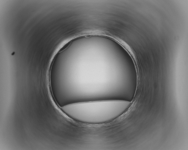 X0000112181389200908070931
